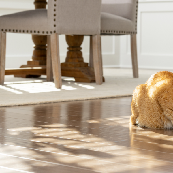 Orange cat eating from white FlexFeed automatic pet feeder in dining room of house