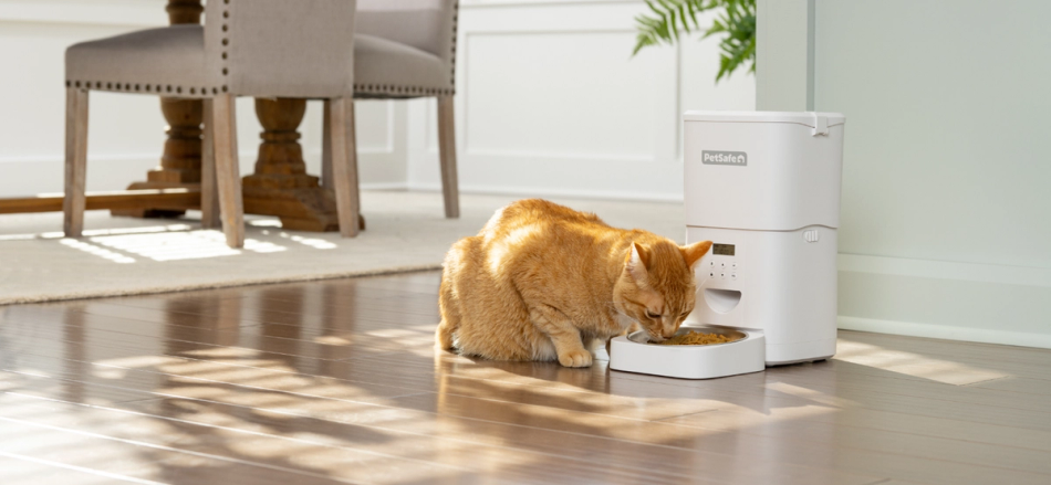 Orange cat eating from white FlexFeed automatic pet feeder in dining room of house