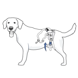 setup-rear-harness-care-lift-support-harness-illustration2