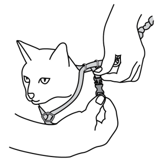 adjust-girth-strap-come-with-me-kitty-cat-harness-bungee-leash-illustration4