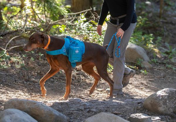 Top 4 First Aid Tips for Trail Adventures