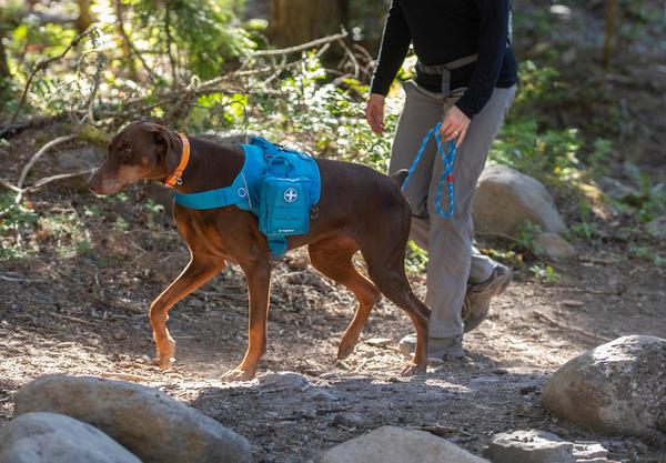 Top 4 First Aid Tips for Trail Adventures