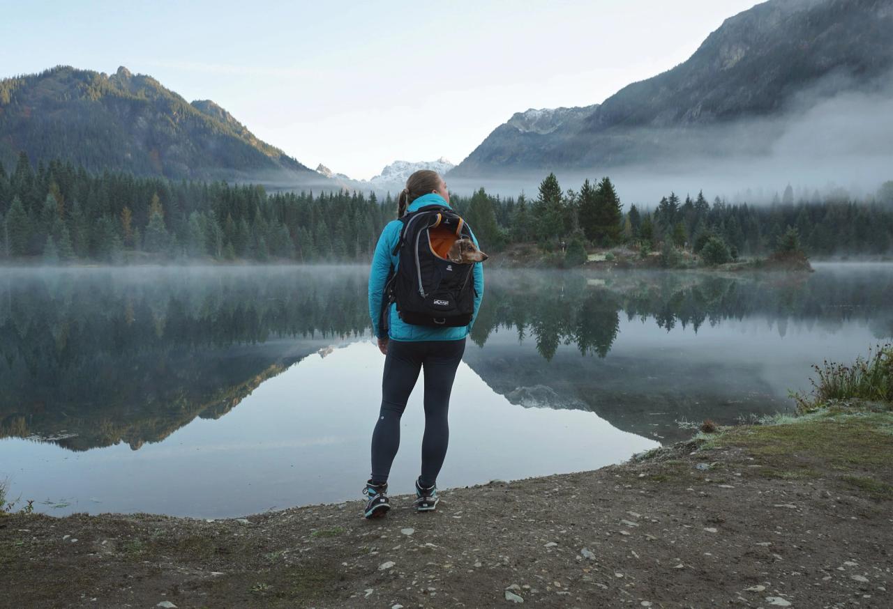 g-train-dog-carrier-backpack