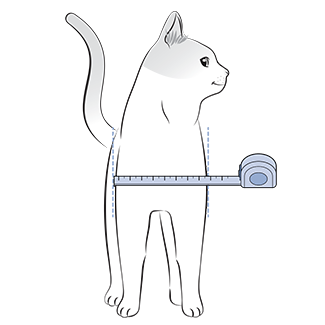 Measure Cat_Chest