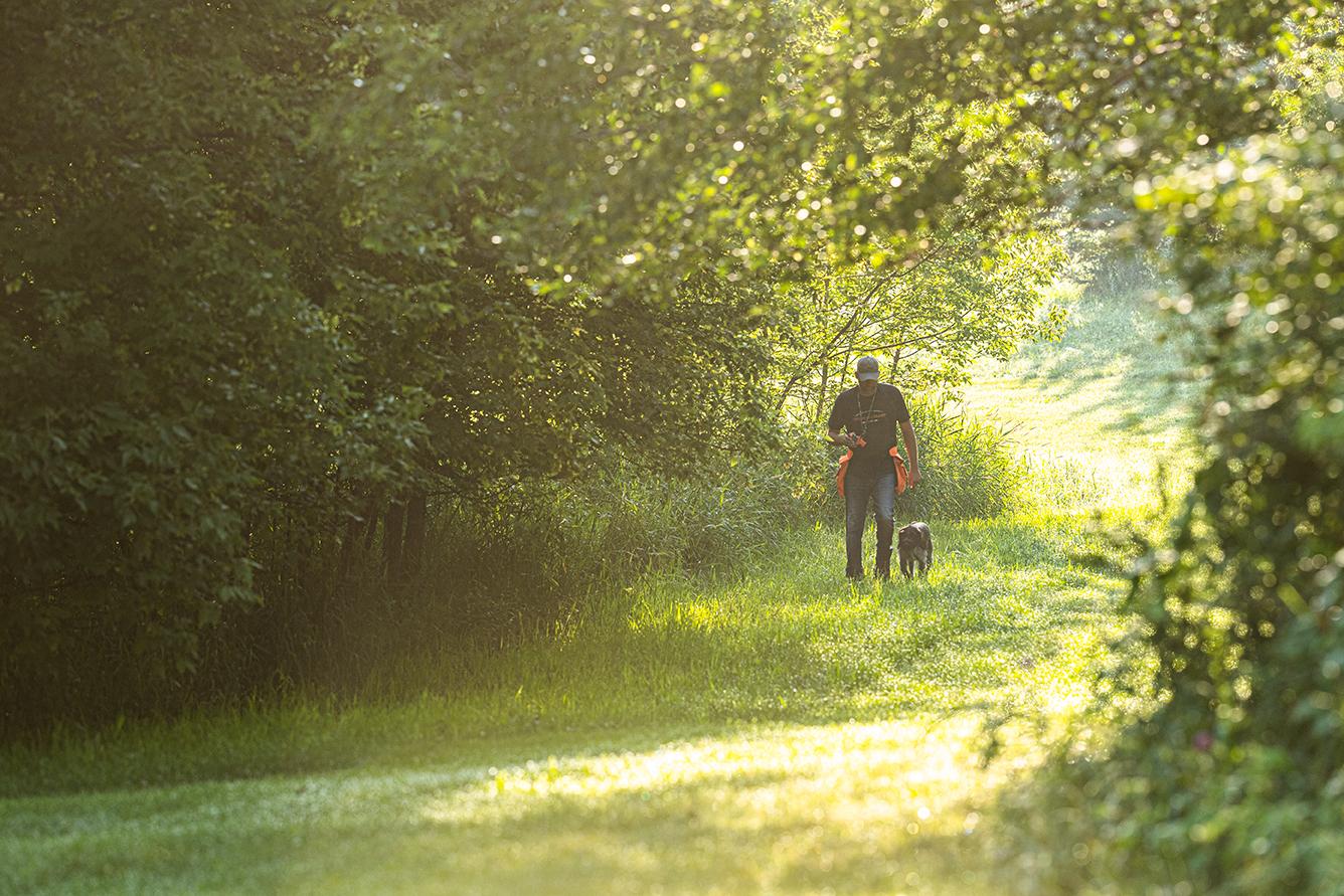 Man walking dog on heel in the early morning