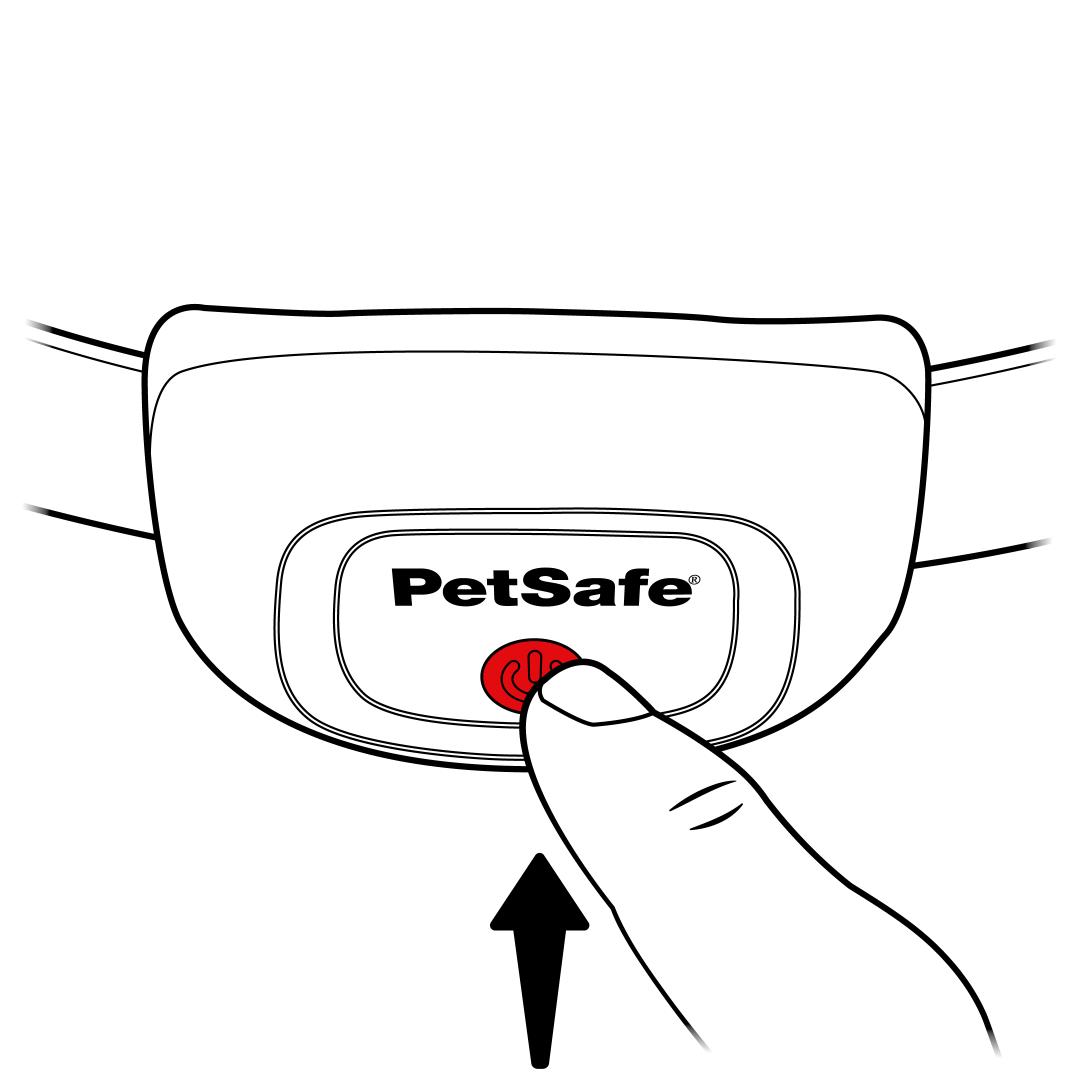 Press & hold power button, red light