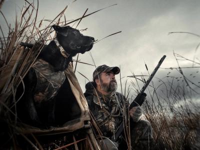 a man and dog ina waterfowl hunting scenario. Dog is in blind and both man and dog are looking up at the sky.