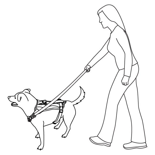 no-pull-training-walk-along-outdoor-harness-illustration1
