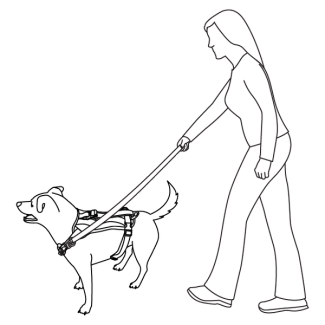 no-pull-training-walk-along-outdoor-harness-illustration1