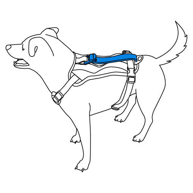 using-the-pouch-walk-along-outdoor-harness-illustration3