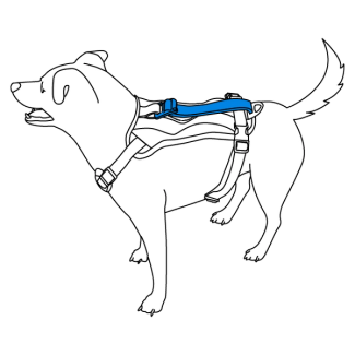 using-the-pouch-walk-along-outdoor-harness-illustration3