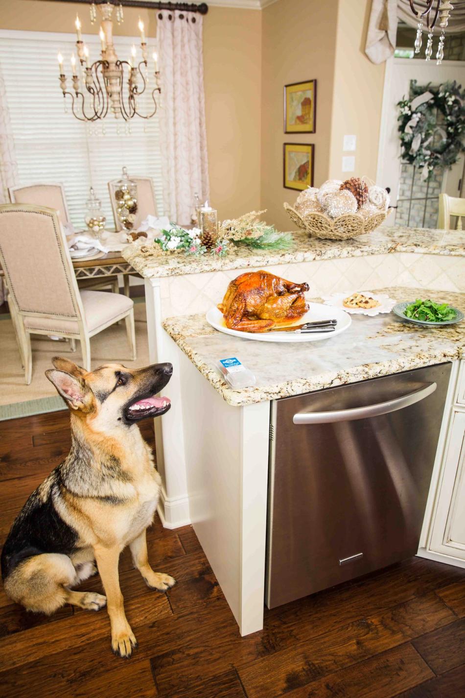 thanksgiving foods for pets