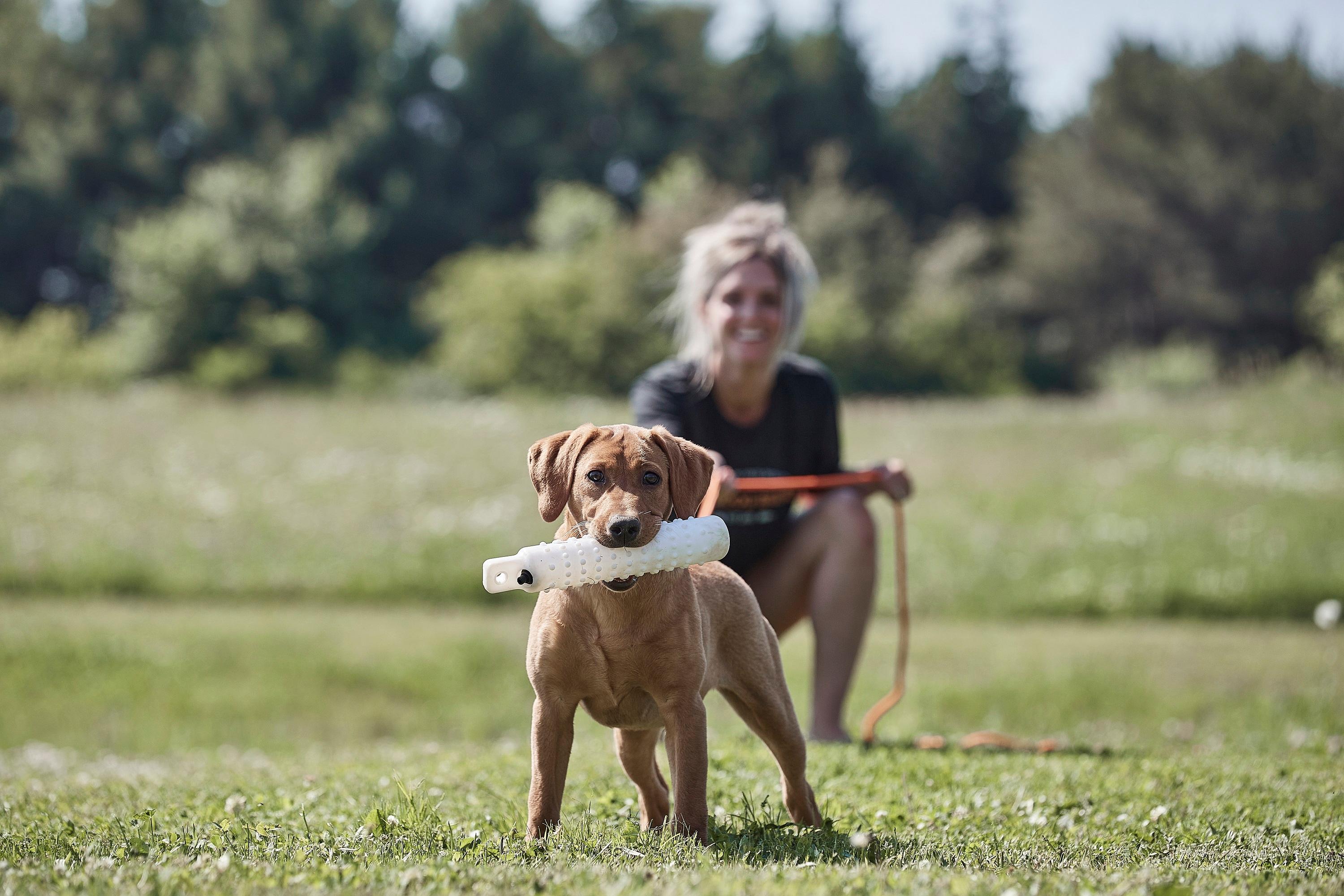 femme et chien avec un mannequin