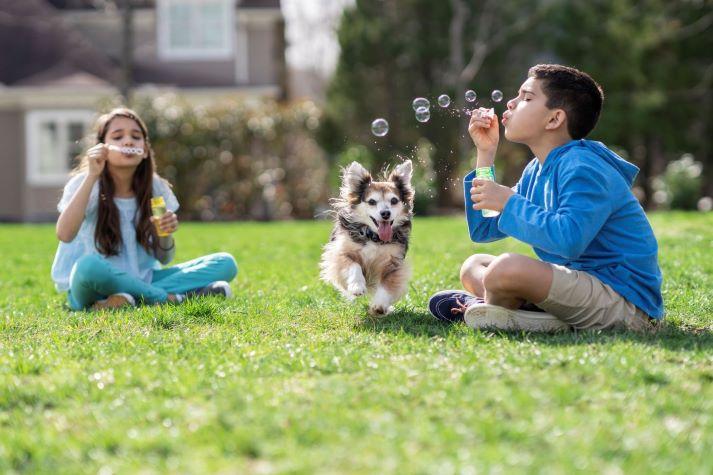 Two kids blowing bubbles and dog running