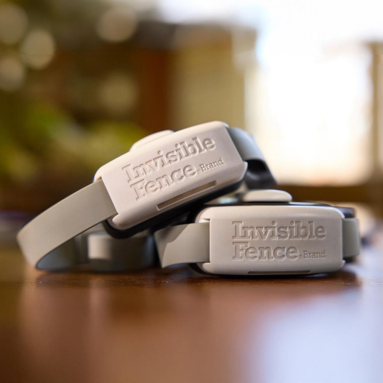 Two Invisible Fence Brand GPS dog wireless dog fence collars