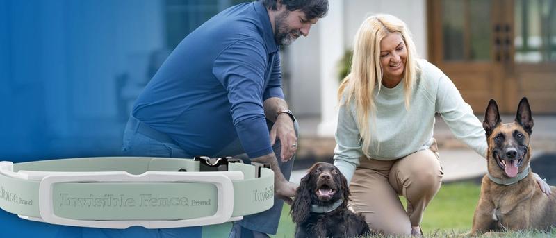 Man and woman playing with pets wearing GPS collars in yard.