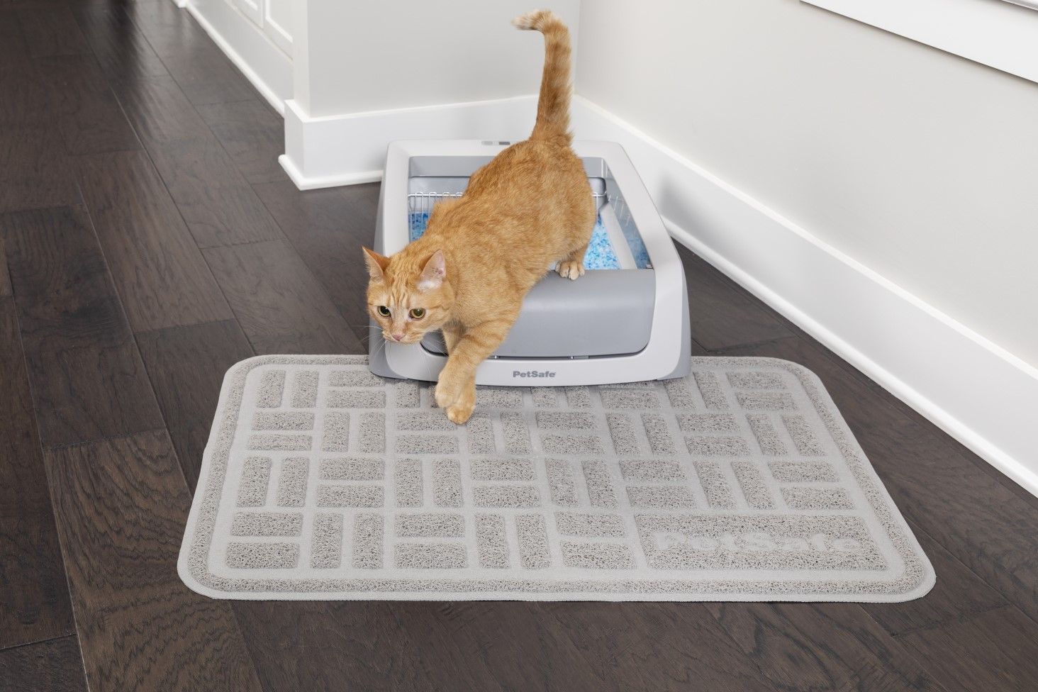 cat and cat litter mat for automatic cat litter box