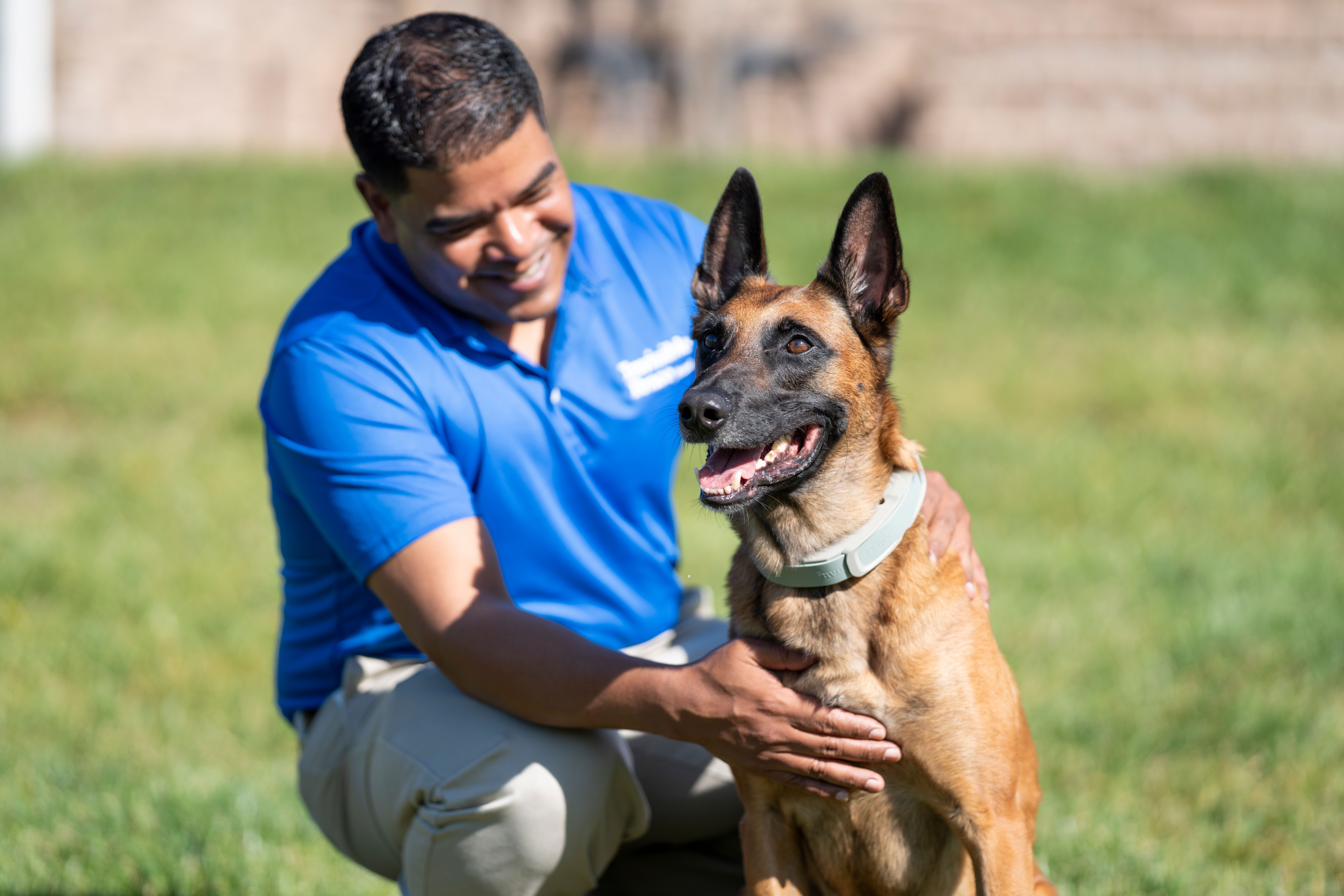 Invisible Fence® Trainer Works With Belgian Malinois Wearing an Invisible Fence® Brand GPS Dog Fence