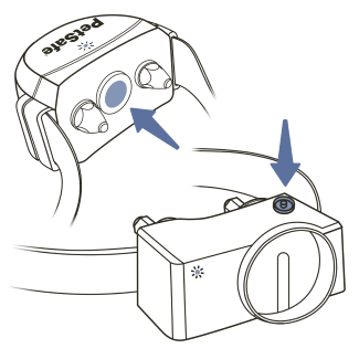 How to Change the Correction Level on Your PetSafe Brand Containment Collar