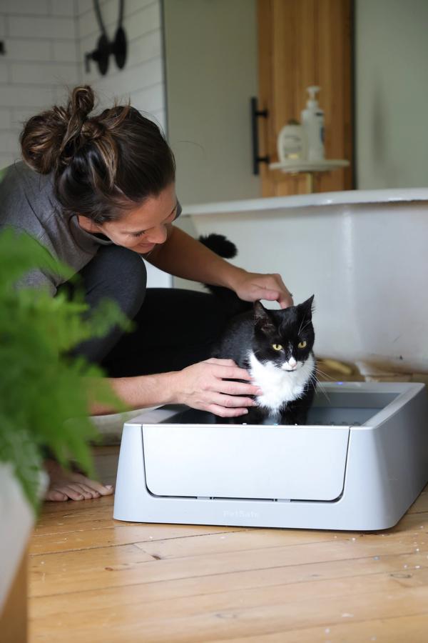 tuxedo cat and pet parent and petsafe litter box