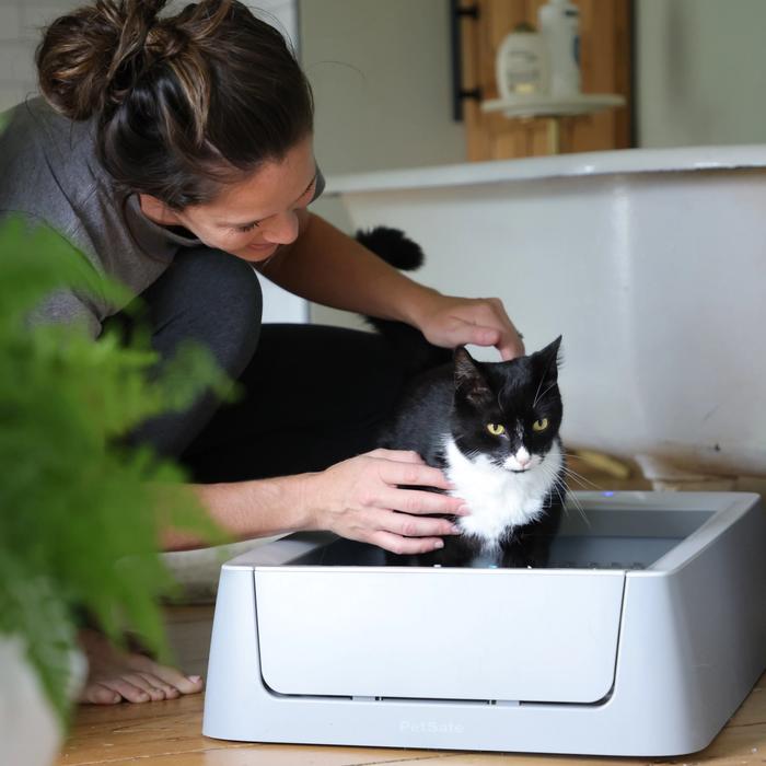 tuxedo cat and pet parent and petsafe litter box