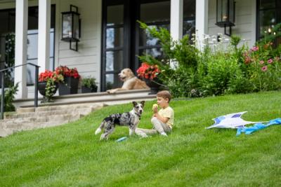 Learn More About All The Reasons Why