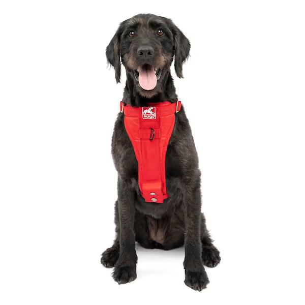 Enhanced Strength Tru-Fit Smart Harness