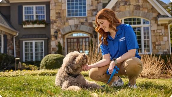 certified invisible fence brand trainer working with dog on boundary training