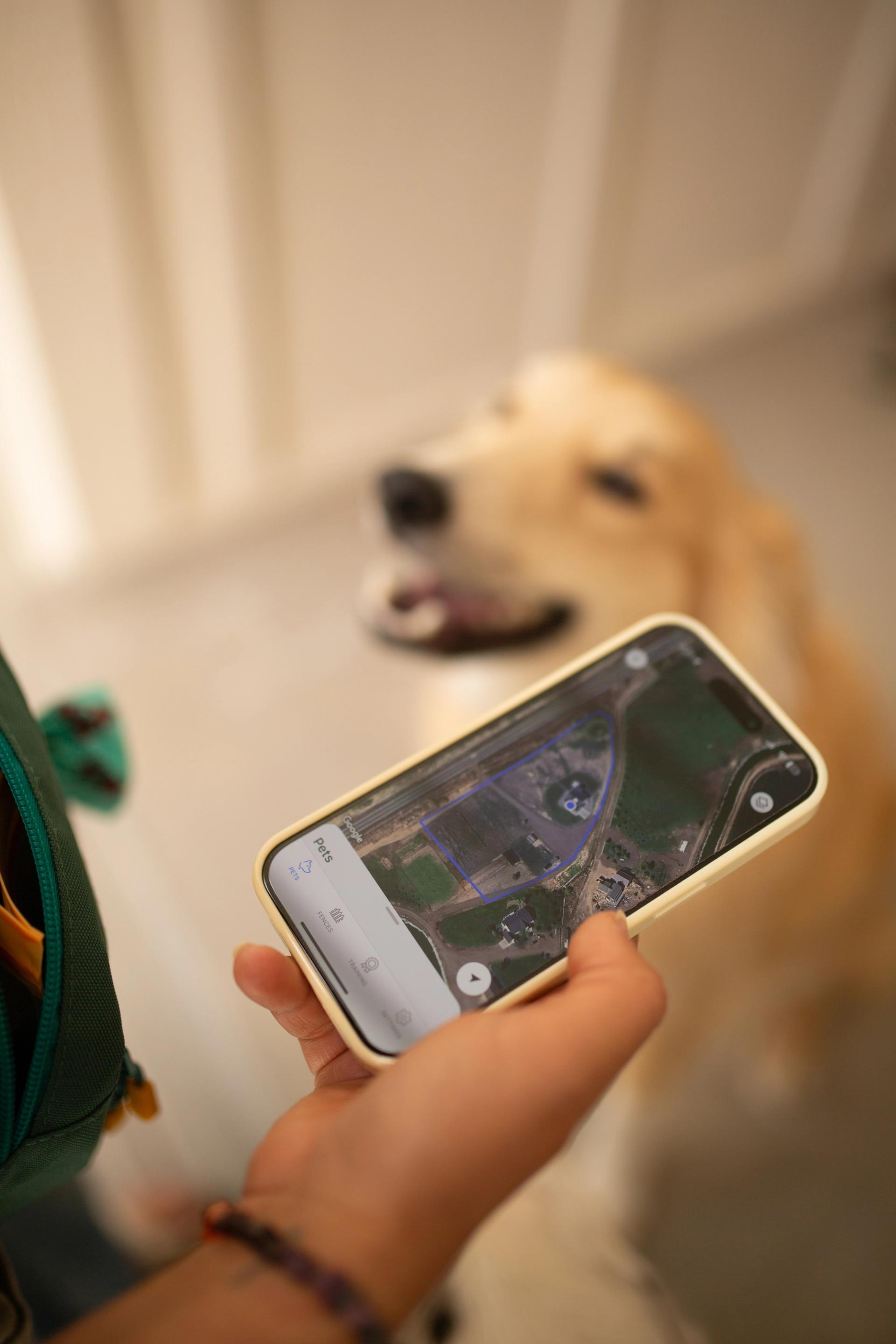 How Does a GPS Dog Fence Work?