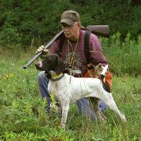 Dave is a judge for AKC pointing and retriever hunt tests as well as the North American Hunting Retriever Assoc. During the summer months he conducts (Utility) North American Versatile Hunting Retriever Association classes on one of his advanced retriever ponds. To his credit, he has titled several AKC Master...