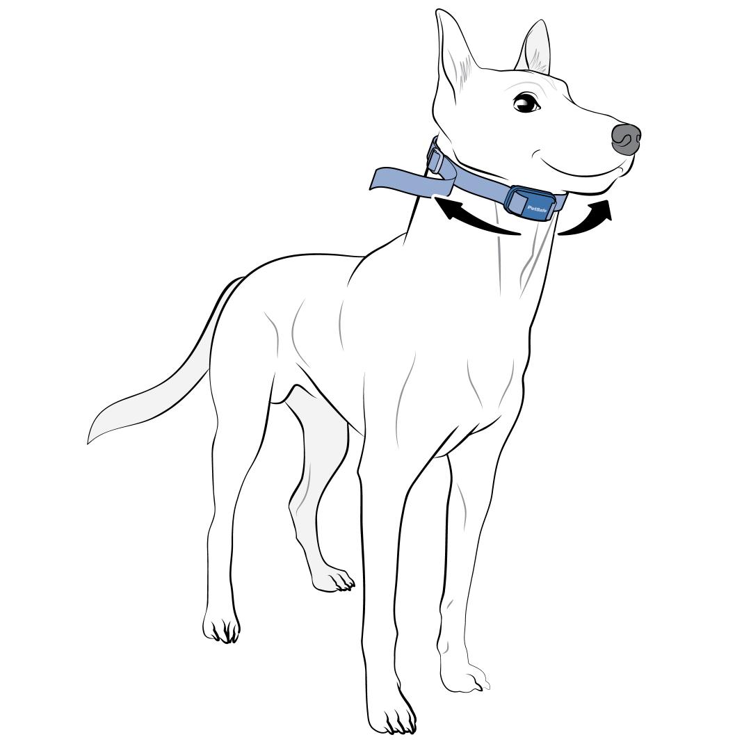 Move Collar Side To Side