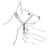 Slide Snap Clamp Towards Chin