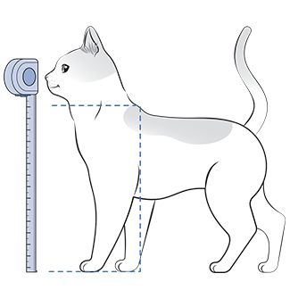 Measure Cat_Floor To Shoulder