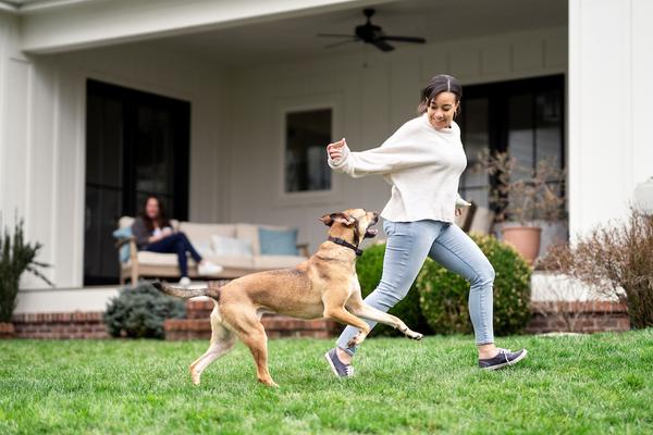 woman and dog running and playing in backyard