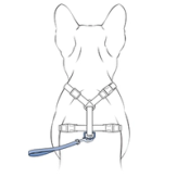 Attatch Saftey Strap to Back of Pet's Harness