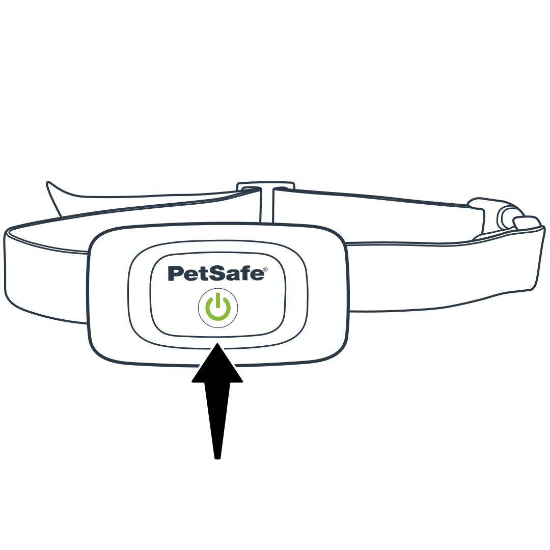 Collar green light flashing