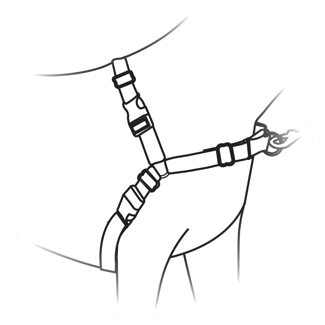 check-size-of-easy-walk-harness-illustration
