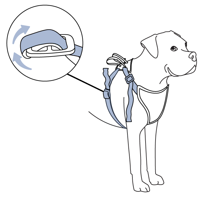 how-to-use-happy-ride-safety-harness-fit-harness-steps-illustration4