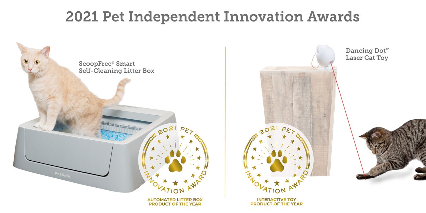 infographic 2021 pet independent innovation awards