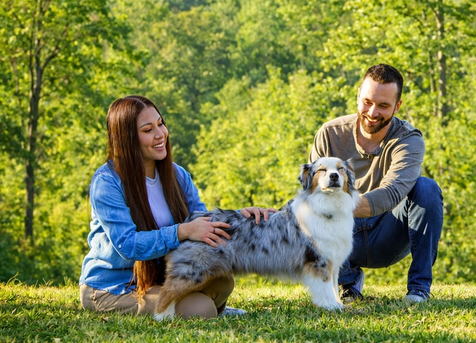 couple and their dog in the yard wearing an Invisible Fence® Collar