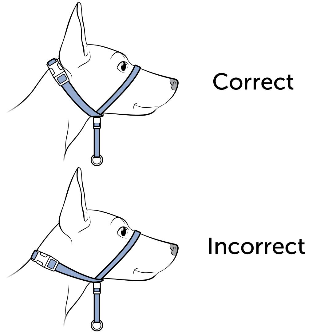 Proper Fit vs Incorrect Fit