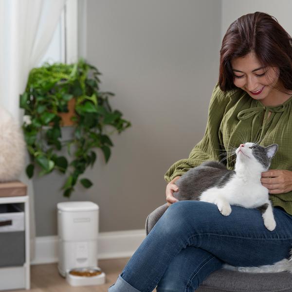 Woman petting cat who is sitting in her lap
