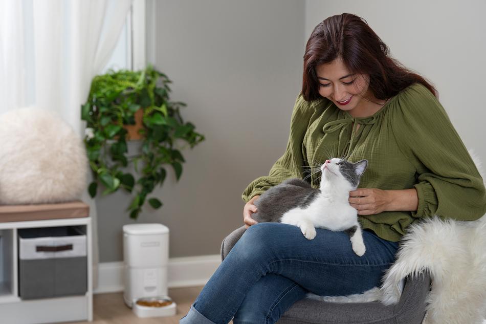 Woman petting cat who is sitting in her lap