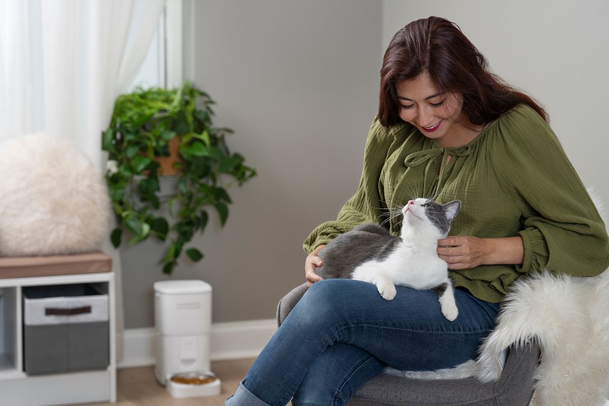 Cat beside an automatic pet feeder