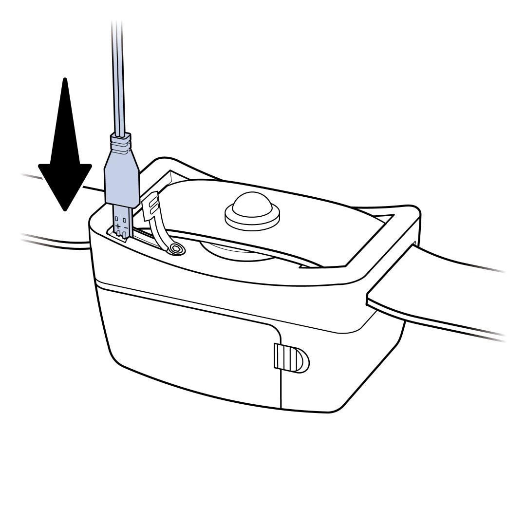 Insert Charger Into Collar