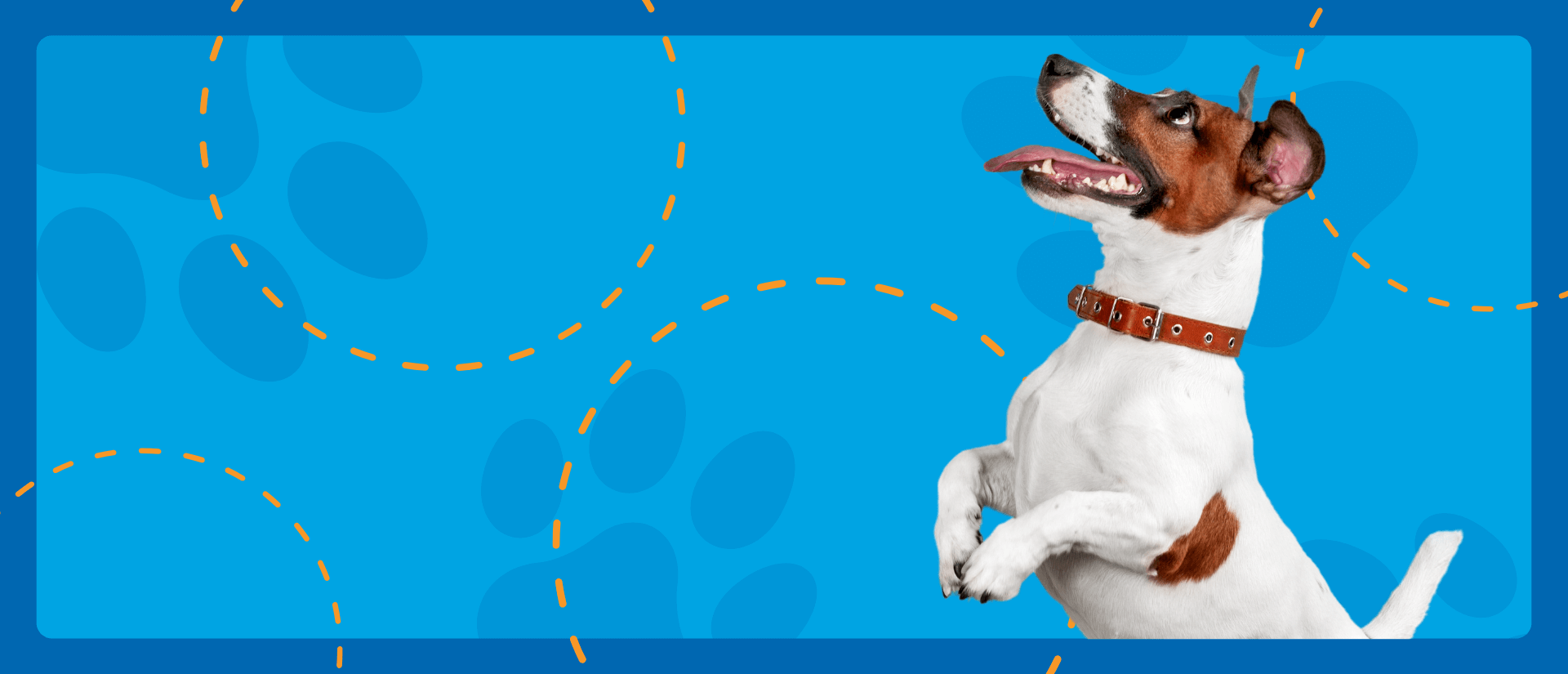 A dog happily standing on it's hind legs with its tongue hanging out