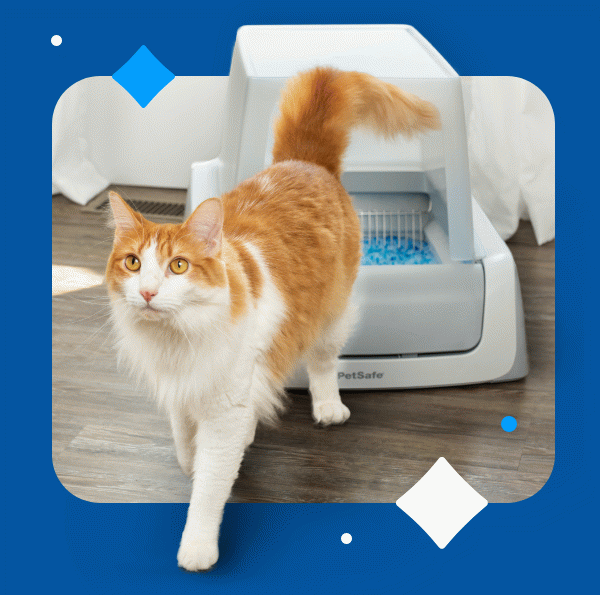 Automatic SelfCleaning Cat Litter Boxes & Cat Litter PetSafe®