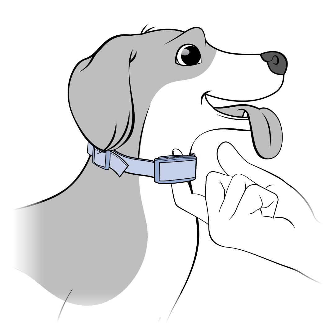 One Finger Behind Contact Points And Dogs Neck