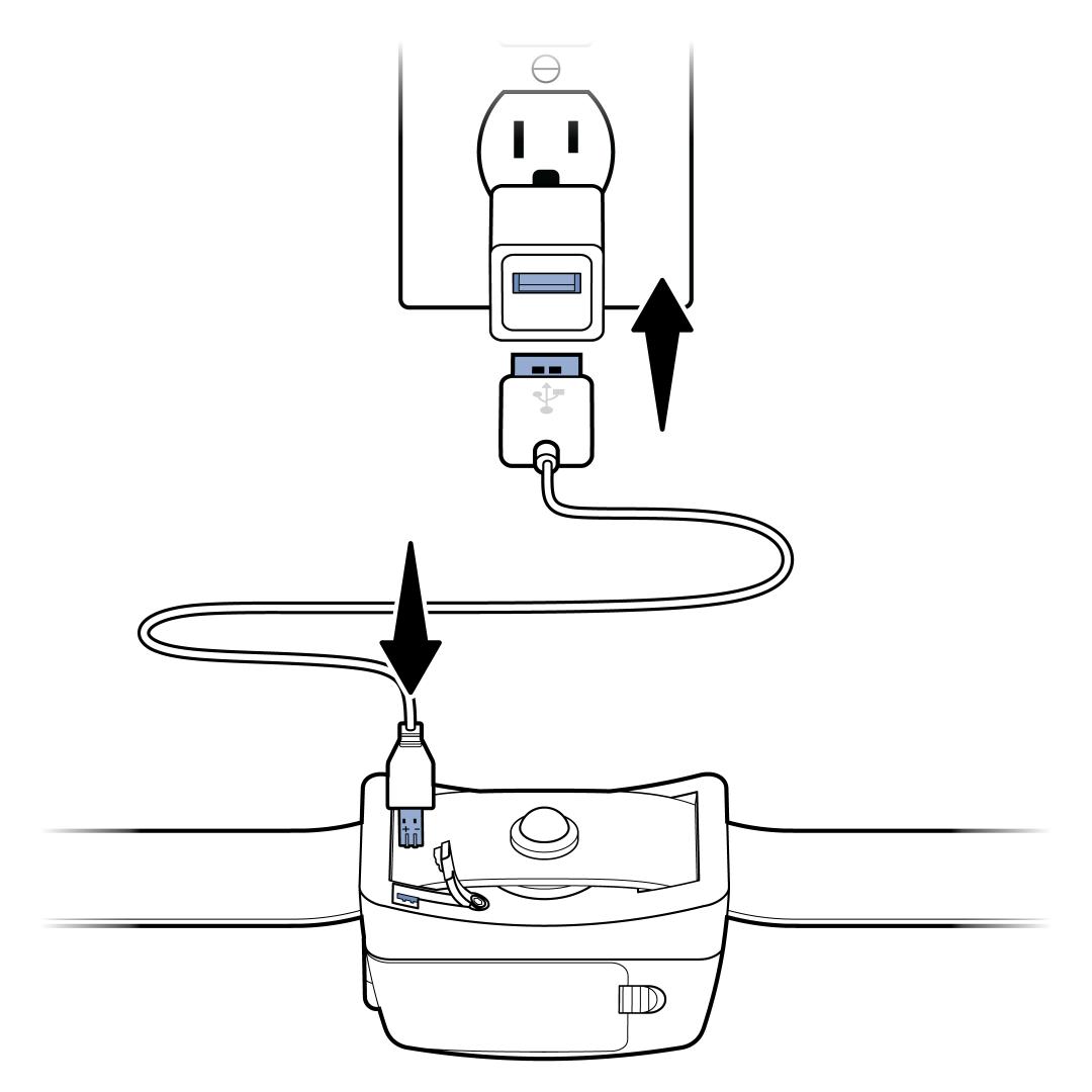 Connect the Charger To The Collar And Outlet