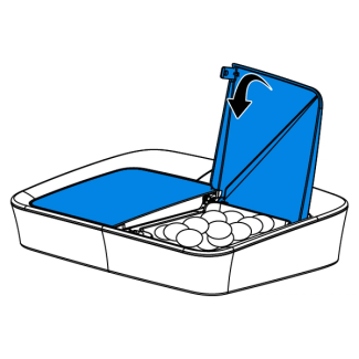 program-digital-two-meal-feeder-illustration3